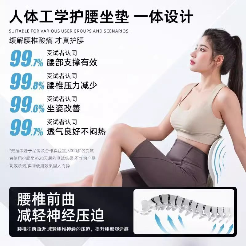 Ergonomic Waist Support Cushion for Students to Correct Sitting Posture, Office Chair with Lumbar Support for Long Periods of Sitting Without Fatigue, Lumbar Su - image 3