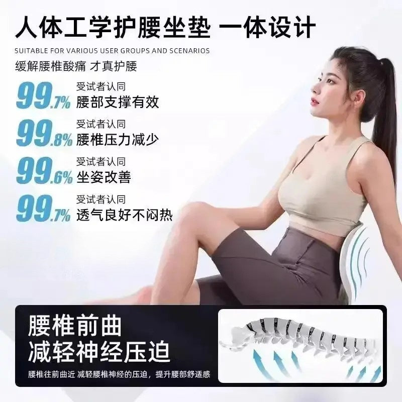 Ergonomic Lumbar Support Cushion Chair for Office Workstations, Long Sitting, Waist Support, Bed Nursing Backrest Cushion, Magic Cushion - image 2