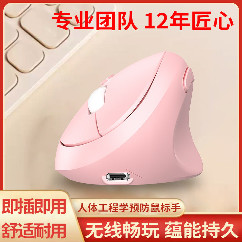 Vertical Wireless Optical Ergonomic Mouse Upright Wrist Support Desktop Laptop Mouse for Girls and Boys - image 1